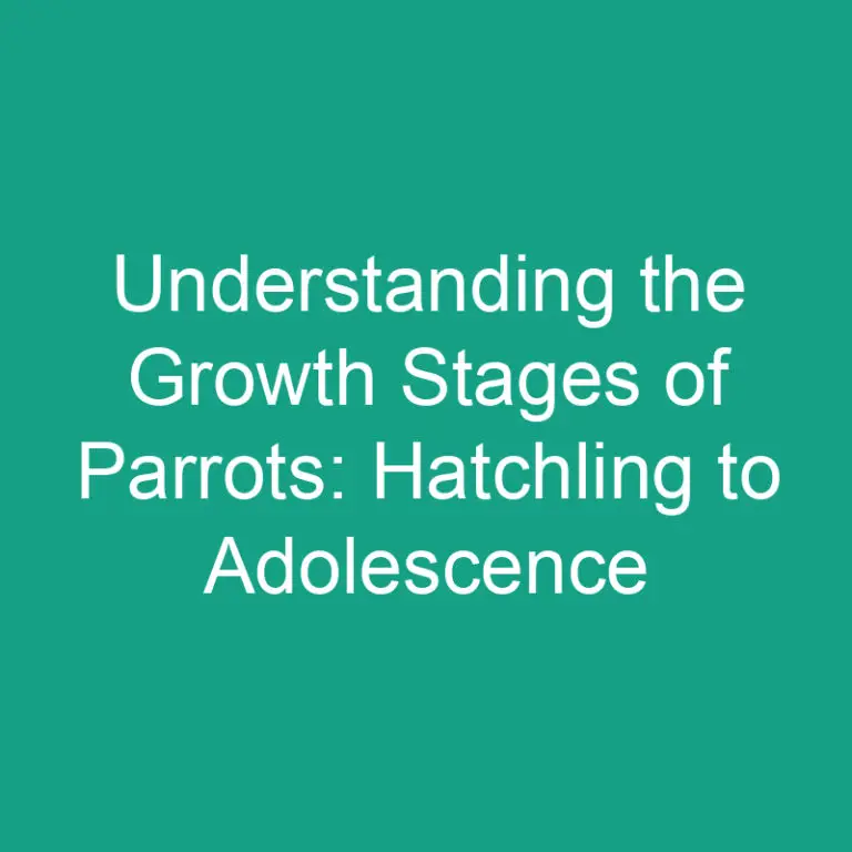 Understanding the Growth Stages of Parrots: Hatchling to Adolescence