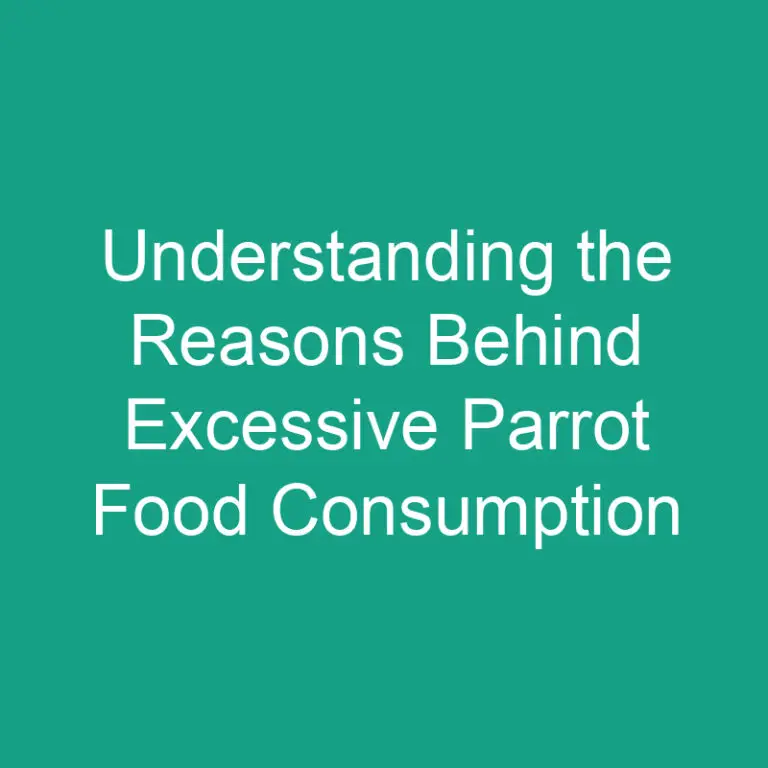 Understanding the Reasons Behind Excessive Parrot Food Consumption