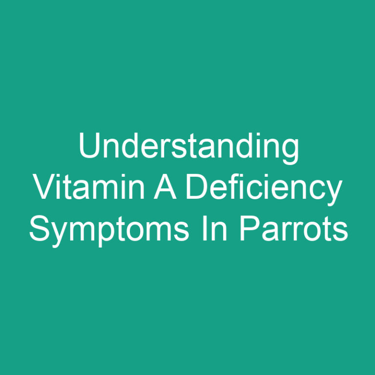 Understanding Vitamin A Deficiency Symptoms In Parrots