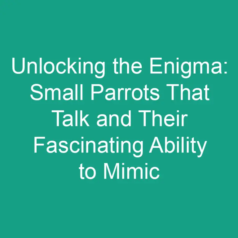 Unlocking the Enigma: Small Parrots That Talk and Their Fascinating Ability to Mimic Human Speech