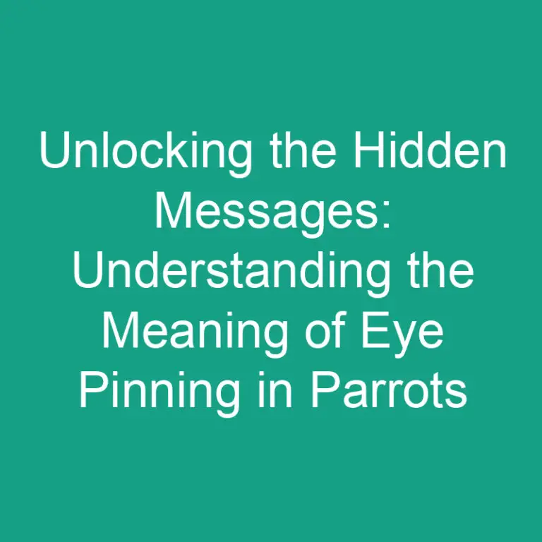 Unlocking the Hidden Messages: Understanding the Meaning of Eye Pinning in Parrots