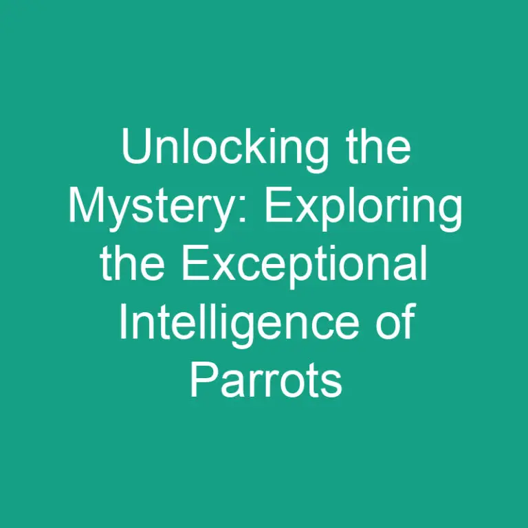 Unlocking the Mystery: Exploring the Exceptional Intelligence of Parrots
