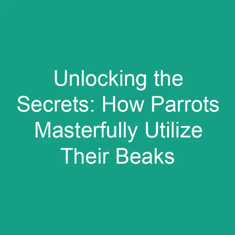 Unlocking the Secrets: How Parrots Masterfully Utilize Their Beaks