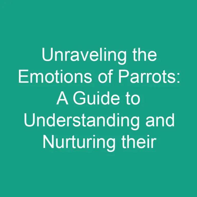 Unraveling the Emotions of Parrots: A Guide to Understanding and Nurturing their Emotional Well-being