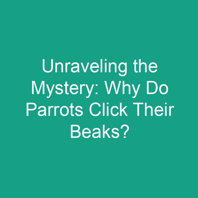 Unraveling the Mystery: Why Do Parrots Click Their Beaks?
