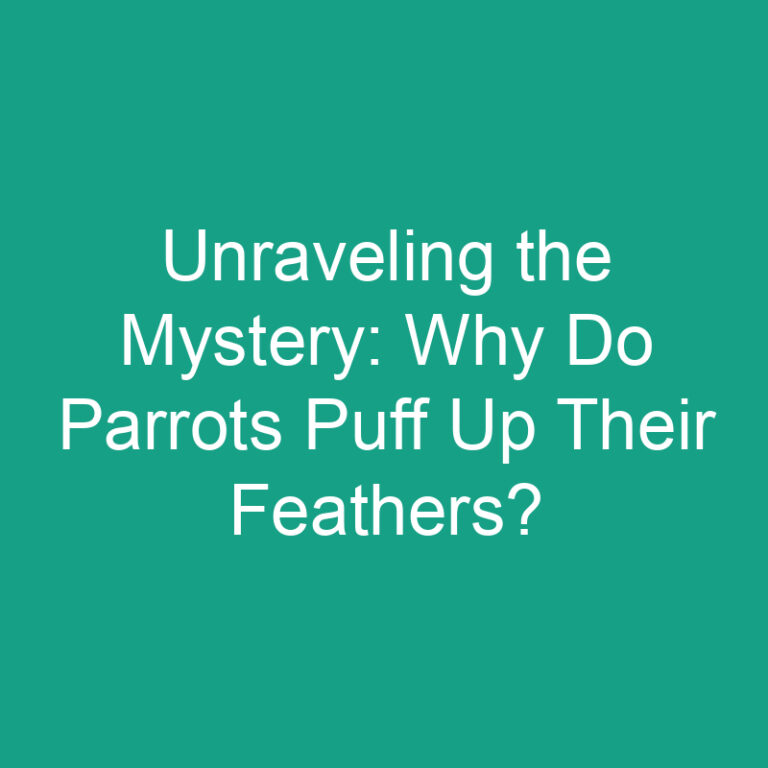 Unraveling the Mystery: Why Do Parrots Puff Up Their Feathers?