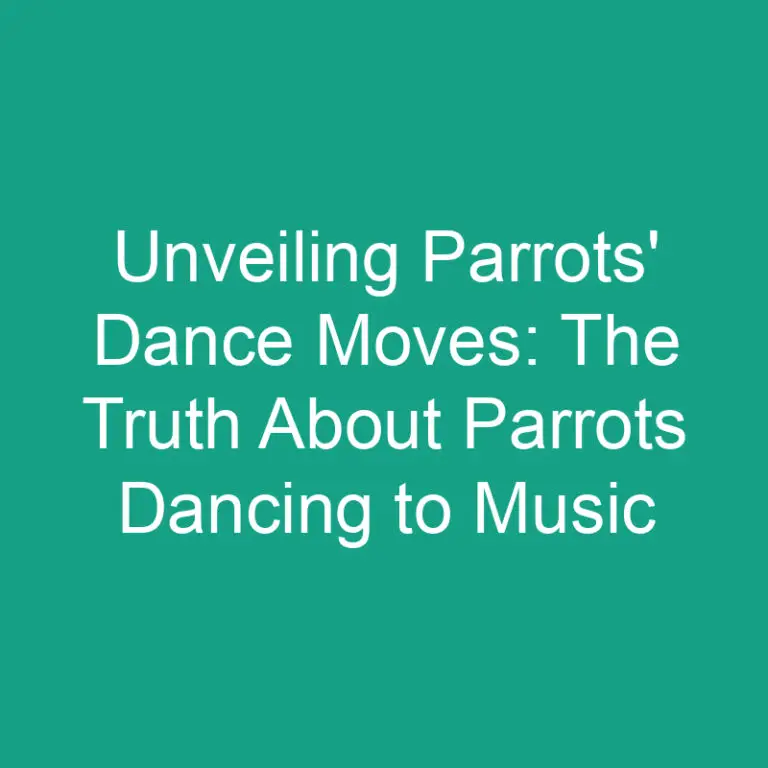 Unveiling Parrots’ Dance Moves: The Truth About Parrots Dancing to Music