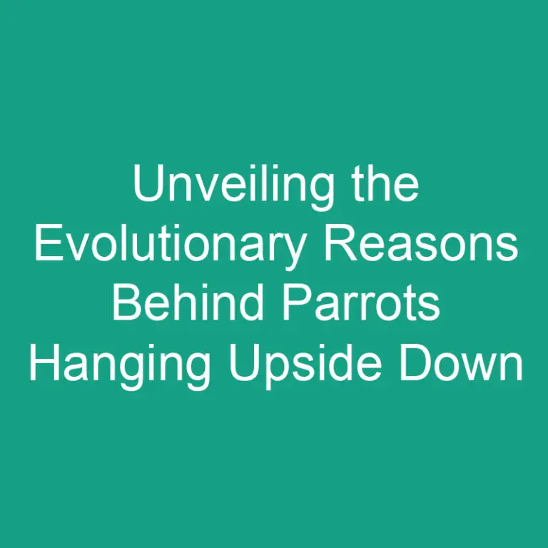 Unveiling the Evolutionary Reasons Behind Parrots Hanging Upside Down