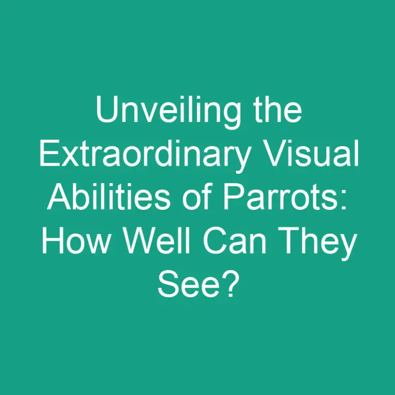 Unveiling the Extraordinary Visual Abilities of Parrots: How Well Can They See?