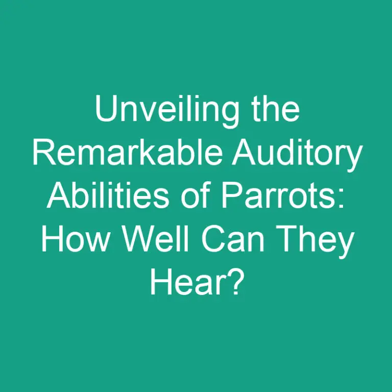 Unveiling the Remarkable Auditory Abilities of Parrots: How Well Can They Hear?