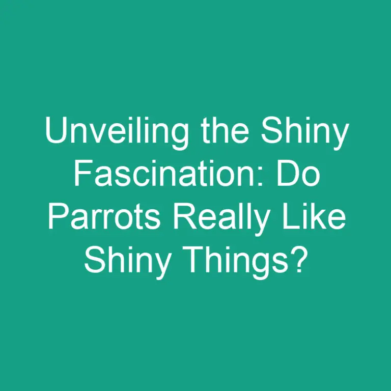 Unveiling the Shiny Fascination: Do Parrots Really Like Shiny Things?