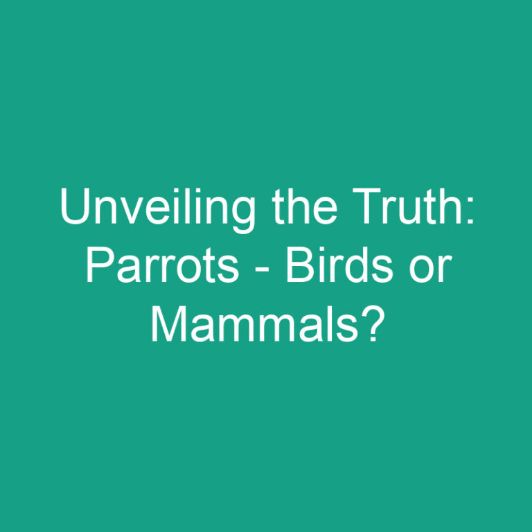 Unveiling the Truth: Parrots – Birds or Mammals?
