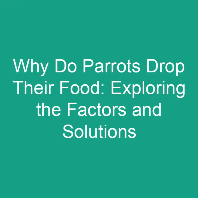 Why Do Parrots Drop Their Food: Exploring the Factors and Solutions