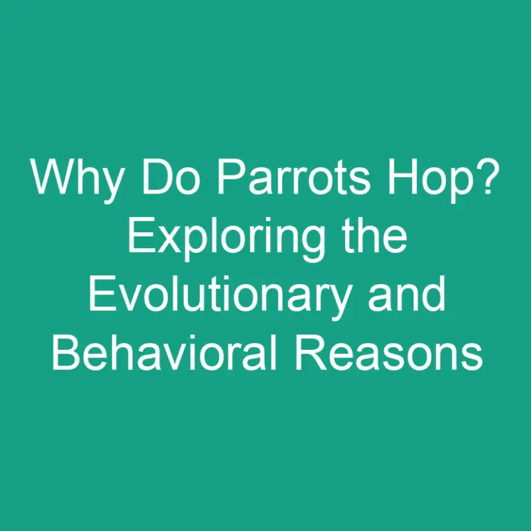 Why Do Parrots Hop? Exploring the Evolutionary and Behavioral Reasons