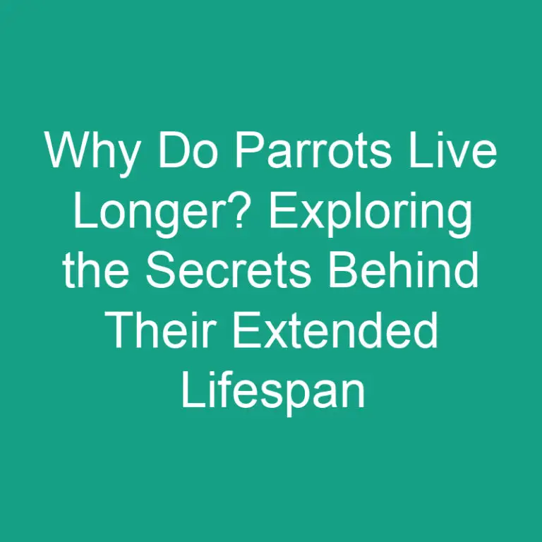 Why Do Parrots Live Longer? Exploring the Secrets Behind Their Extended Lifespan