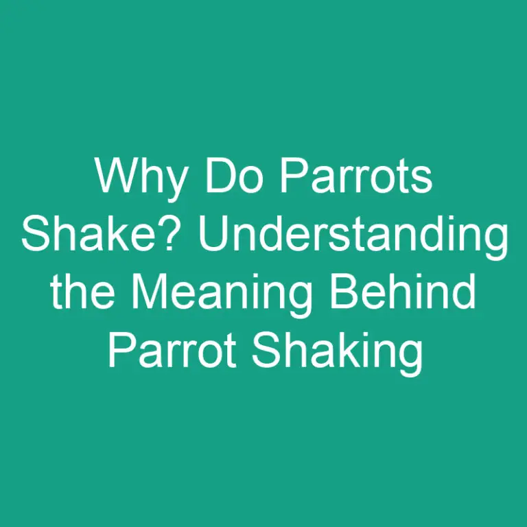 Why Do Parrots Shake? Understanding the Meaning Behind Parrot Shaking