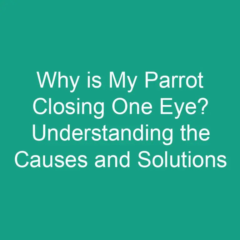 Why is My Parrot Closing One Eye? Causes and Solutions